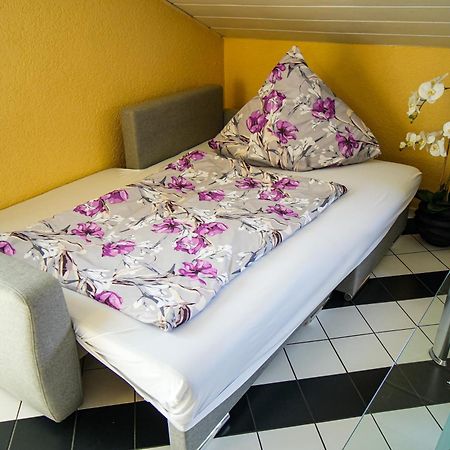 Schoenes Studio In Der Rheinebene, Zentral Gelegen Rheinstetten Ngoại thất bức ảnh